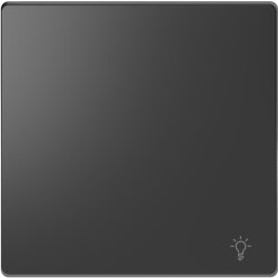 Merten Wippe mit Kennzeichnung Licht anthrazit