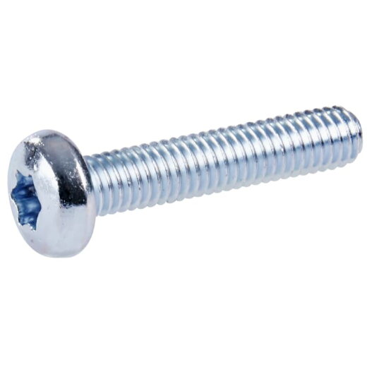 ABB Striebel & John ZX912P10 Flachkopf-Schrauben M6x30 T30 Zubehör CombiLine Innenausbausystem