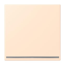 Jung LED-Orientierungslicht, Thermoplast lackiert, Serie...