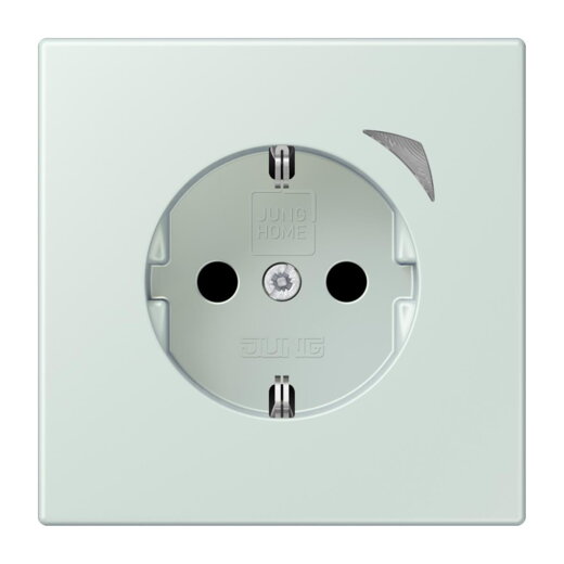 Jung HOME SCHUKO® Steckdose, 16 A 250 V ~, Schraubklemmen, mit Funktionsanzeige, SAFETY+, Thermoplast lackiert BTLC1521S215