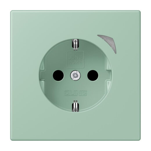 Jung HOME SCHUKO® Steckdose, 16 A 250 V ~, Schraubklemmen, mit Funktionsanzeige, SAFETY+, Thermoplast lackiert BTLC1521S217