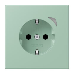 Jung HOME SCHUKO® Steckdose, 16 A 250 V ~,...