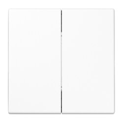 Jung Friends of Hue Funk-Wandsender Set 4-kanalig, Serie...