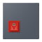 Jung Notrufsystem Ruftaster, Serie LS, gris fonce 59 NRSLC0834RT262