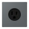 Jung Steckdose, US-Norm NEMA, 15 A 125 V ~, Schraubklemmen, ohne Krallen, Thermoplast lackiert, Serie LS, gris foncé 31 LC521-15202