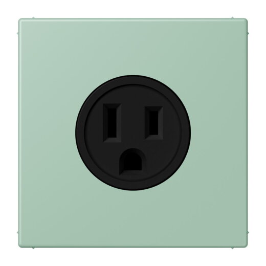 Jung Steckdose, US-Norm NEMA, 15 A 125 V ~, Schraubklemmen, ohne Krallen, Thermoplast lackiert, Serie LS, vert anglais clair LC521-15217