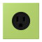 Jung Steckdose, US-Norm NEMA, 15 A 125 V ~, Schraubklemmen, ohne Krallen, Thermoplast lackiert, Serie LS, vert clair LC521-15221