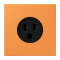 Jung Steckdose, US-Norm NEMA, 15 A 125 V ~, Schraubklemmen, ohne Krallen, Thermoplast lackiert, Serie LS, orange clair LC521-15225