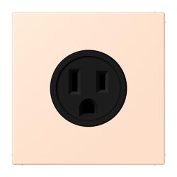 Jung Steckdose, US-Norm NEMA, 15 A 125 V ~,...