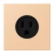 Jung Steckdose, US-Norm NEMA, 15 A 125 V ~, Schraubklemmen, ohne Krallen, Thermoplast lackiert, Serie LS, terre sienne claire 31 LC521-15237