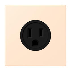 Jung Steckdose, US-Norm NEMA, 15 A 125 V ~,...
