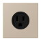 Jung Steckdose, US-Norm NEMA, 15 A 125 V ~, Schraubklemmen, ohne Krallen, Thermoplast lackiert, Serie LS, ombre naturelle claire LC521-15243