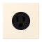 Jung Steckdose, US-Norm NEMA, 15 A 125 V ~, Schraubklemmen, ohne Krallen, Thermoplast lackiert, Serie LS, blanc ivoire LC521-15245
