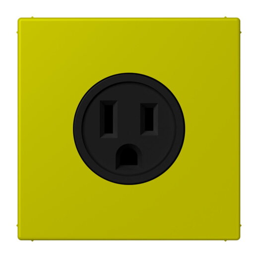 Jung Steckdose, US-Norm NEMA, 15 A 125 V ~, Schraubklemmen, ohne Krallen, Thermoplast lackiert, Serie LS, vert olive vif LC521-15249