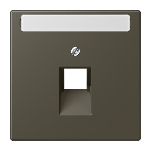 Jung Abdeckung für IAE/UAE-Anschlussdosen 1 x 8-polig, mit Schriftfeld, Thermoplast lackiert, Serie LS, ombre naturelle 31 LC969-1NAUA241