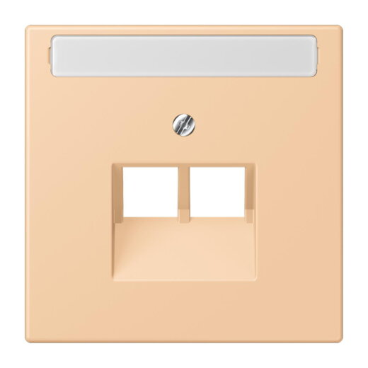 Jung Abdeckung für IAE/UAE-Anschlussdosen 2 x 8-polig, mit Schriftfeld, Thermoplast lackiert, Serie LS, terre sienne claire 31 LC969-2NAUA237