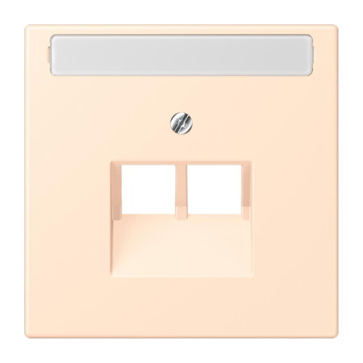 Jung Abdeckung für IAE/UAE-Anschlussdosen 2 x 8-polig, mit Schriftfeld, Thermoplast lackiert, Serie LS, terre sienne pâle LC969-2NAUA238