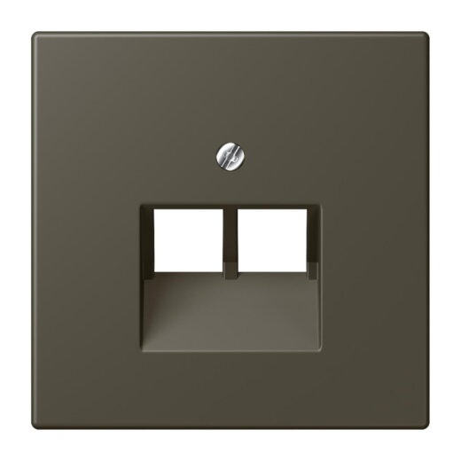 Jung Abdeckung für IAE/UAE-Anschlussdosen 2 x 8-polig, Thermoplast lackiert, Serie LS, ombre naturelle 31 LC969-2UA241