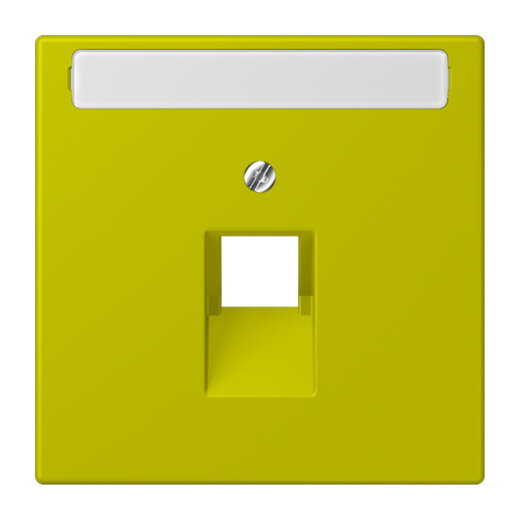 Jung Abdeckung für IAE/UAE-Anschlussdosen 1 x 8-polig, mit Schriftfeld, Thermoplast lackiert, Serie LS, vert olive vif LC969-1NAUA249