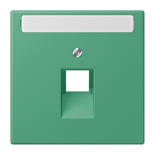Jung Abdeckung für IAE/UAE-Anschlussdosen 1 x 8-polig, mit Schriftfeld, Thermoplast lackiert, Serie LS, vert 59 LC969-1NAUA250