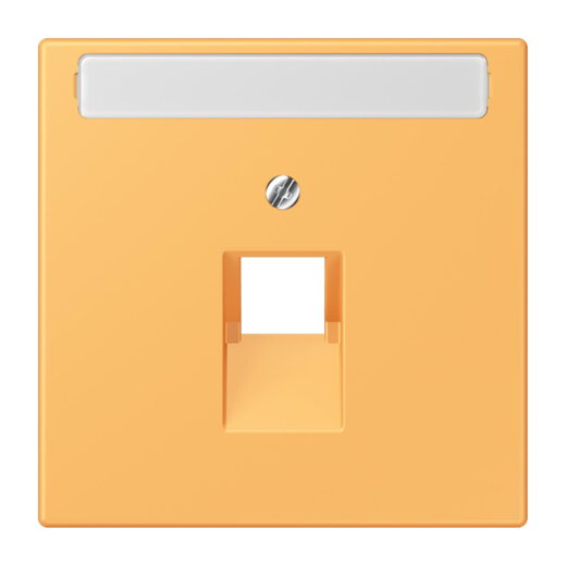 Jung Abdeckung für IAE/UAE-Anschlussdosen 1 x 8-polig, mit Schriftfeld, Thermoplast lackiert, Serie LS, ocre jaune clair LC969-1NAUA254