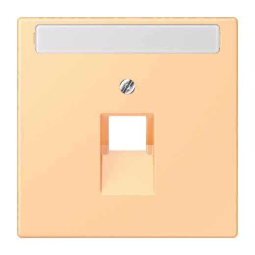 Jung Abdeckung für IAE/UAE-Anschlussdosen 1 x 8-polig, mit Schriftfeld, Thermoplast lackiert, Serie LS, terre sienne claire 59 LC969-1NAUA258