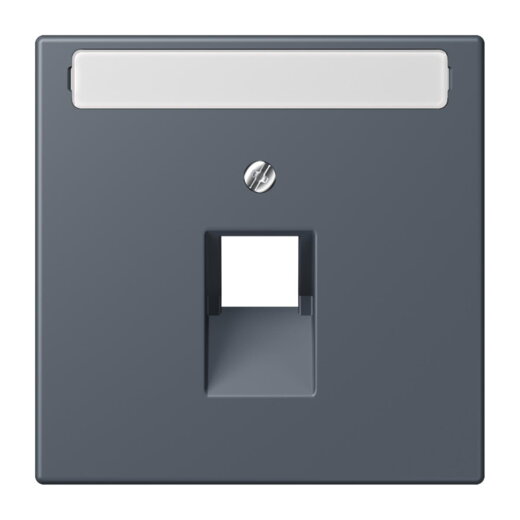 Jung Abdeckung für IAE/UAE-Anschlussdosen 1 x 8-polig, mit Schriftfeld, Thermoplast lackiert, Serie LS, gris fonce 59 LC969-1NAUA262