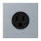 Jung Steckdose, US-Norm NEMA, 15 A 125 V ~, Schraubklemmen, ohne Krallen, Thermoplast lackiert, Serie LS, gris clair 59 LC521-15257