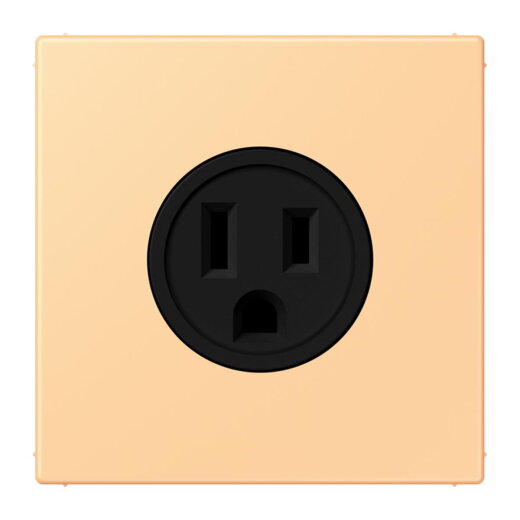 Jung Steckdose, US-Norm NEMA, 15 A 125 V ~, Schraubklemmen, ohne Krallen, Thermoplast lackiert, Serie LS, terre sienne claire 59 LC521-15258