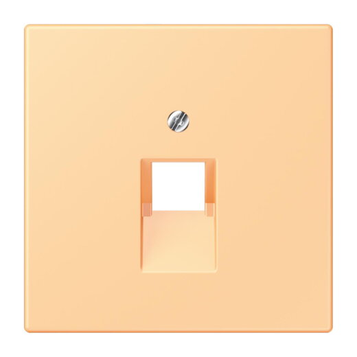 Jung Abdeckung für IAE/UAE-Anschlussdosen 1 x 8-polig, Thermoplast lackiert, Serie LS, terre sienne claire 59 LC969-1UA258