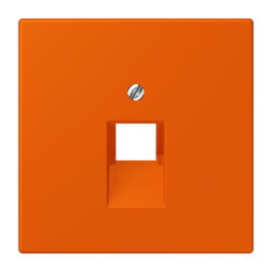 Jung Abdeckung für IAE/UAE-Anschlussdosen...