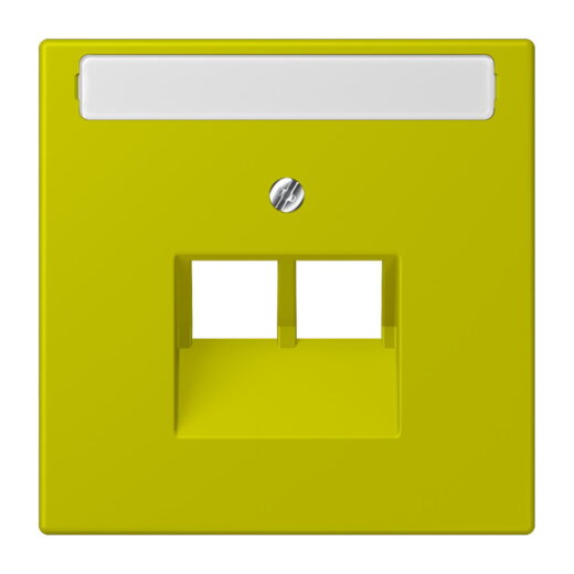 Jung Abdeckung für IAE/UAE-Anschlussdosen 2 x 8-polig, mit Schriftfeld, Thermoplast lackiert, Serie LS, vert olive vif LC969-2NAUA249