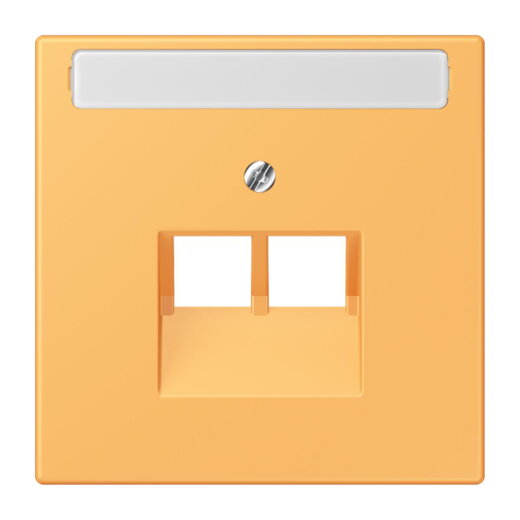 Jung Abdeckung für IAE/UAE-Anschlussdosen 2 x 8-polig, mit Schriftfeld, Thermoplast lackiert, Serie LS, ocre jaune clair LC969-2NAUA254