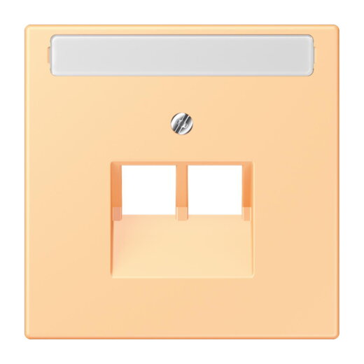 Jung Abdeckung für IAE/UAE-Anschlussdosen 2 x 8-polig, mit Schriftfeld, Thermoplast lackiert, Serie LS, terre sienne claire 59 LC969-2NAUA258