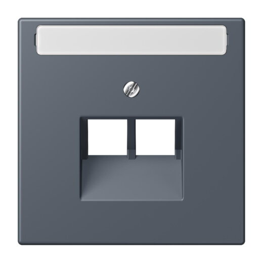 Jung Abdeckung für IAE/UAE-Anschlussdosen 2 x 8-polig, mit Schriftfeld, Thermoplast lackiert, Serie LS, gris fonce 59 LC969-2NAUA262