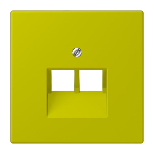 Jung Abdeckung für IAE/UAE-Anschlussdosen 2 x 8-polig, Thermoplast lackiert, Serie LS, vert olive vif LC969-2UA249