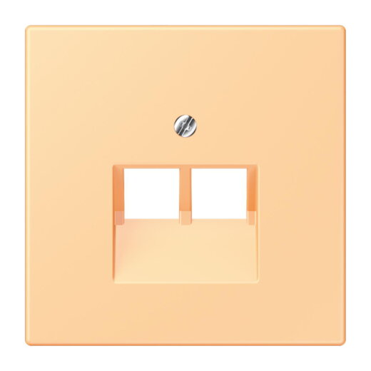 Jung Abdeckung für IAE/UAE-Anschlussdosen 2 x 8-polig, Thermoplast lackiert, Serie LS, terre sienne claire 59 LC969-2UA258