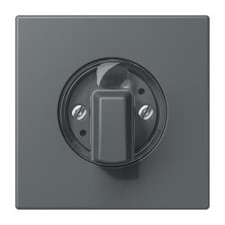 Jung Abdeckung für Drehschalter, Serie LS, gris...