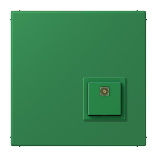 Jung Notrufsystem Abstelltaster, Serie LS, vert foncé NRSLC0834AT219