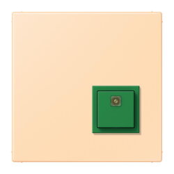 Jung Notrufsystem Abstelltaster, Serie LS, ocre...