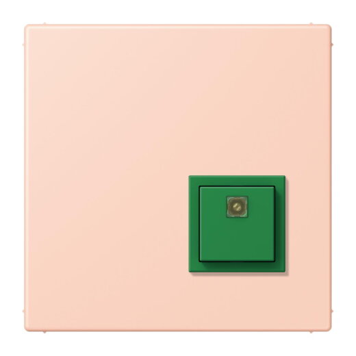 Jung Notrufsystem Abstelltaster, Serie LS, locre rouge clair NRSLC0834AT234