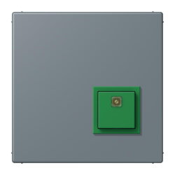 Jung Notrufsystem Abstelltaster, Serie LS, gris 59...