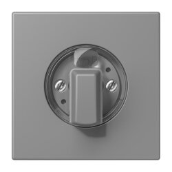 Jung Abdeckung für Drehschalter, Serie LS, gris 31...