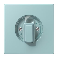 Jung Abdeckung für Drehschalter, Serie LS,...