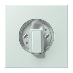 Jung Abdeckung für Drehschalter, Serie LS,...