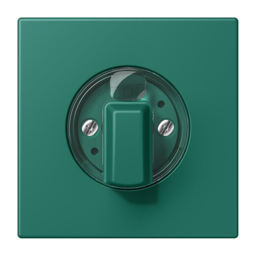 Jung Abdeckung für Drehschalter, Serie LS, vert anglais LC1941216