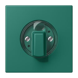 Jung Abdeckung für Drehschalter, Serie LS, vert...