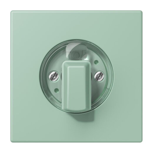 Jung Abdeckung für Drehschalter, Serie LS, vert anglais clair LC1941217