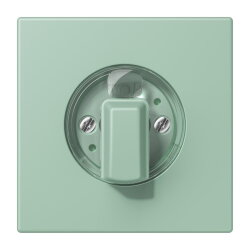 Jung Abdeckung für Drehschalter, Serie LS, vert...