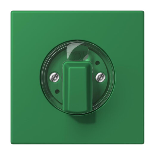 Jung Abdeckung für Drehschalter, Serie LS, vert foncé LC1941219